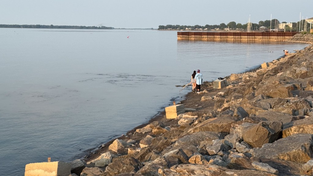 Au parc Regard sur le fleuve, plusieurs promeneurs ont même observé l’émergence de « battus » — ces buttes de sable ou de gravier qui apparaissent lorsque l’eau se retire —, signe concret de la baisse du niveau. Crédit photo : Philippe Manning / Sorel-Tracy Info
