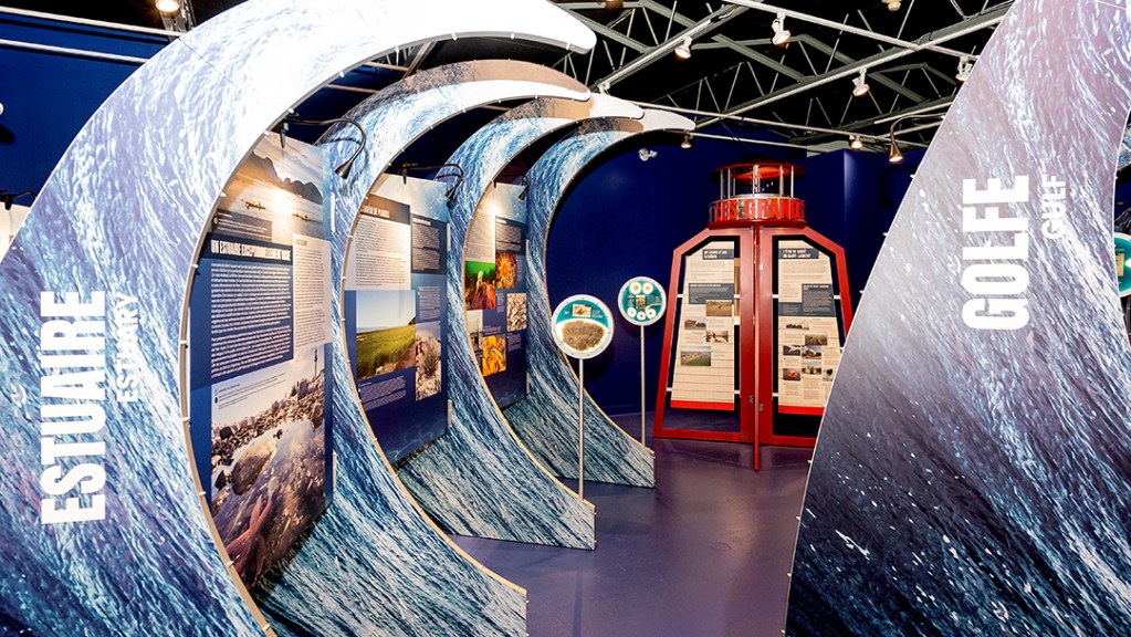 Exposition « La nature du fleuve Saint-Laurent ». Crédit photo : Philippe Manning / Sorel-Tracy Info