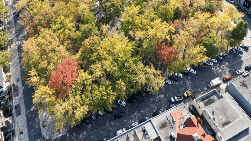 Stationnement en épi rue Geroge