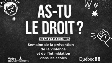 Violence et intimidation à l’école : protéger nos élèves et ceux qui les accompagnent