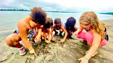 A diverse group of six children crouches on a sandy beach, inspecting a cluster of sticks and shells near the water under a cloudy sky.