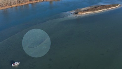 Photo IRHMAS - Vue aérienne de la structure de pierres découverte au fond du Saint-Laurent, identifiée comme un ancien piège à poissons autochtone.
