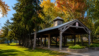 Open-air wooden pavilion in a grassy park, surrounded by autumn trees with orange and yellow leaves, picnic tables visible underneath.