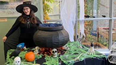 Personne déguisée en sorcière devant un chaudron entouré de citrouilles, de crânes et de décorations d'Halloween au Biophare.